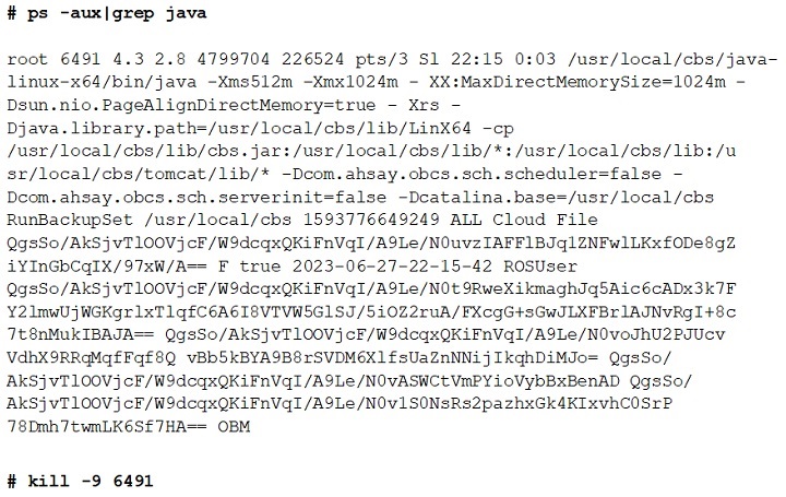 Kill task in Linux