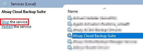 AhsayCBS Services