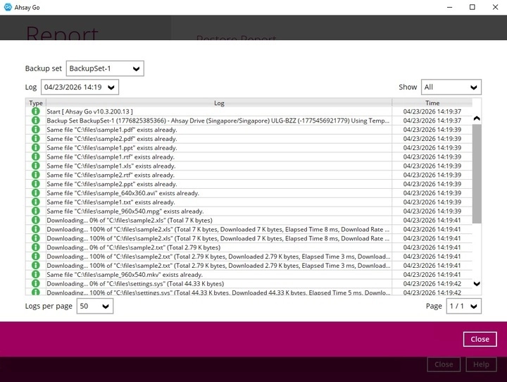 Restore Report